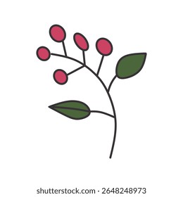cute floral elements with soft colors and outlines. flowers, leaves, stems