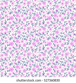 Cute Floral pattern in the small flower. "Ditsy print". Motifs scattered random. Seamless vector texture. Elegant template for fashion prints. Printing with small pink flowers. White background
