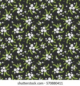 Cute Floral pattern in the small flower. "Ditsy print". Motifs scattered random. Seamless vector texture. Elegant template for fashion prints. Printing with small white flowers. Dark gray background