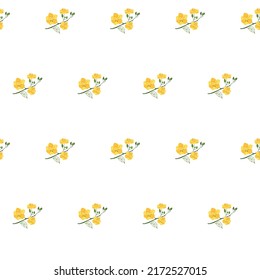 Cute floral pattern of yellow apricot blossom. Summer print. Vector illustration on a white background for decor, wrapping paper