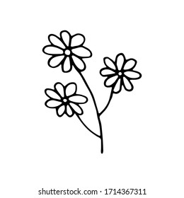 Cute floral silhouettes. Hand drawn flowers on white background . Graphic design elements. Black and white botanical illustration. Doodle vector illustration.	

