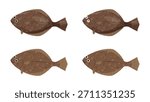 Cute flounder illustration material set