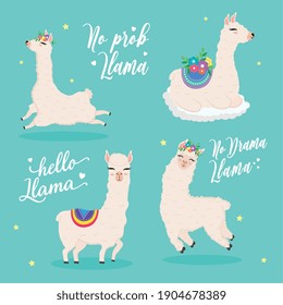 cute flour alpacas exotic animals characters with flowers and lettering vector illustration design