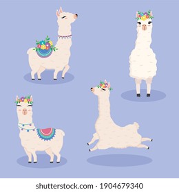 cute flour alpacas exotic animals characters with flowers vector illustration design