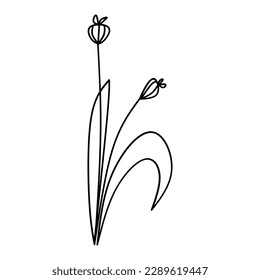 Cute flower botanical floral vector illustration outline hand drawn style design
