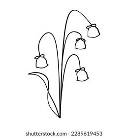 Dibujo de la ilustración del vector floral botánico de la flor cúrcuta diseño de estilo dibujado a mano