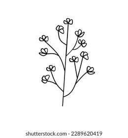 Cute flower botanical floral vector illustration outline hand drawn style design
