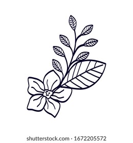 cute flower with branch and leafs line style icon vector illustration design