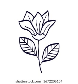 cute flower with branch and leafs line style icon vector illustration design