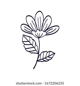 cute flower with branch and leafs line style icon vector illustration design
