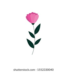 cute flower with branch and leafs vector illustration design