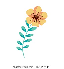 cute flower with branch and leafs vector illustration design