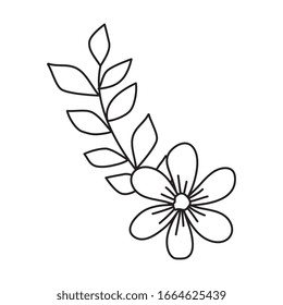 cute flower with branch and leafs vector illustration design