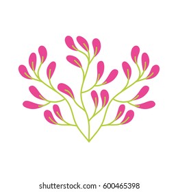 cute flower carden isolated icon vector illustration design