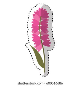 cute flower carden isolated icon vector illustration design