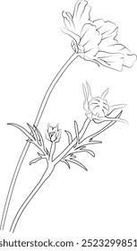 Dibujos para colorear de flores lindas, dibujo de línea de flores de cosmos, dibujo de flores de iris, Elementos botánicos de primavera dibujados a mano, ramo de arte de línea de cosmos para colorear, dibujo de flores fácil