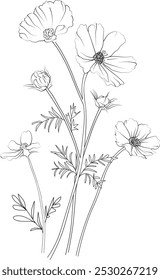 Cute flower coloring pages, Cosmos drawing, Hand drawn botanical summer elements bouquet of Cosmos line art coloring page, easy flower drawing. Cosmos flower art, outline Cosmos flower drawing