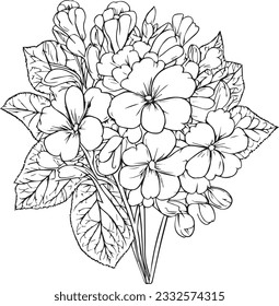 Cute flower coloring pages, primrose drawing, yellow primula flower drawing, Hand drawn botanical spring elements bouquet of primula line art coloring page, easy flower drawing, primrose wall decor