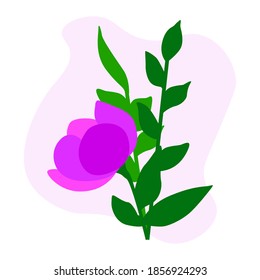 Vector Cartoon Lilac Spring Flower Illustration Stock Vector (Royalty ...