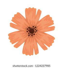 cute flower decorative icon