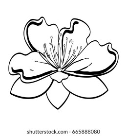 cute flower decorative icon