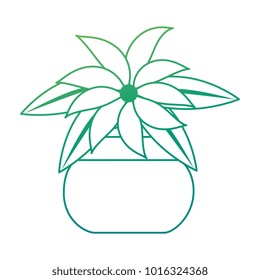 cute flower decorative in pot