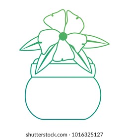 cute flower decorative in pot