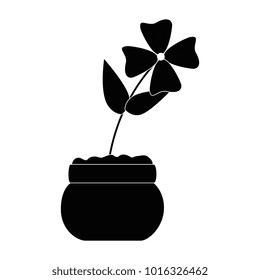 cute flower decorative in pot