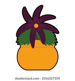 cute flower decorative in pot
