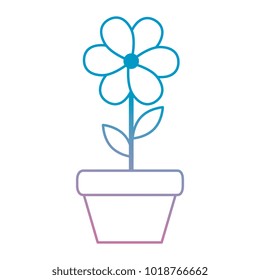 cute flower decorative in pot