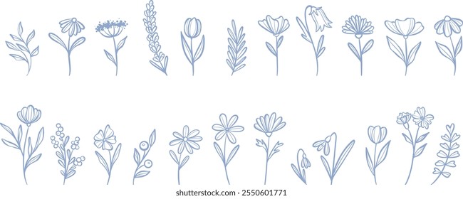 Cute flower doodles, adorable vector line art floral illustrations, spring decorative clip art elements, isolated