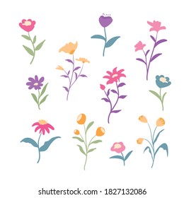 Cute Flower elements set, simple and pretty with abstract style and pastel color
