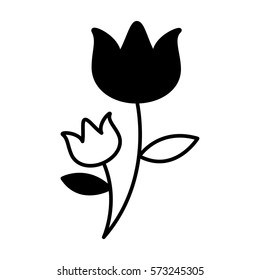 cute flower emblem icon vector illustration design