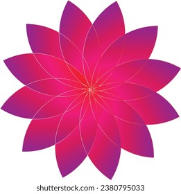 a cute flower in gradient flower