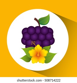 cute flower and grape fruit design vector illustration eps 10