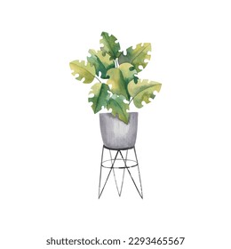 cute flower , home plants. Cute childish illustration