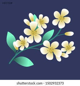 Cute flower isolate, Vector illustration design element