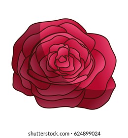 cute flower isolated icon