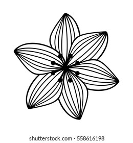 cute flower isolated icon vector illustration design