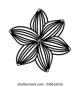 cute flower isolated icon vector illustration design