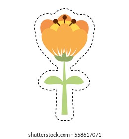 cute flower isolated icon vector illustration design