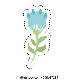 cute flower isolated icon vector illustration design