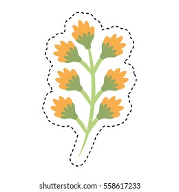 cute flower isolated icon vector illustration design
