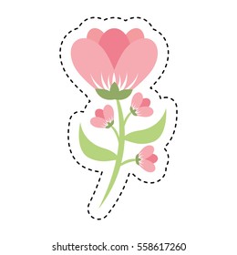cute flower isolated icon vector illustration design