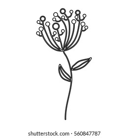 cute flower isolated icon vector illustration design