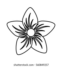 cute flower isolated icon vector illustration design