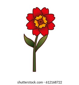 cute flower isolated icon vector illustration design