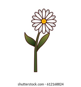 cute flower isolated icon vector illustration design
