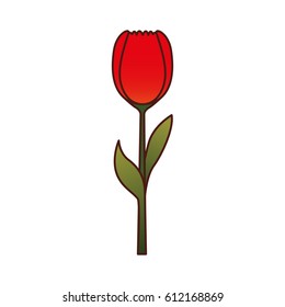 cute flower isolated icon vector illustration design