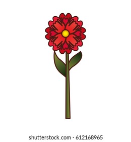 cute flower isolated icon vector illustration design